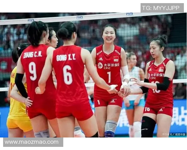 上海排球队节奏之争引发热议球迷观点各异分析深度探讨比赛影响